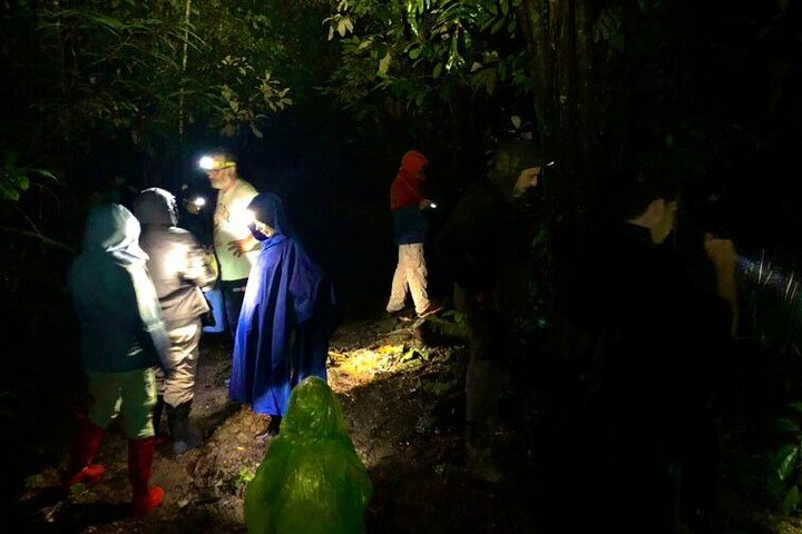 Sarapiqui Rainforest Night Walk : Wildlife & Adventure. - Photo 1 of 23